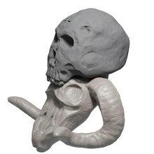 umano ariete cranio animale arte giocattolo 3d print model - Mito3D