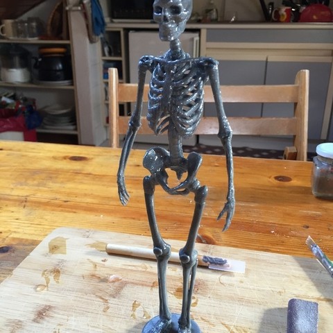 squelette humain divers biologie 3D print model - Mito3D