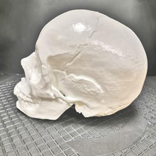 cranio umano vari 3d print model - Mito3D