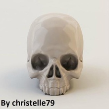 menschlicher Schädel Kunst 3d print model - Mito3D