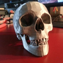 human skull art pla replicator 2 3d print model - Mito3D
