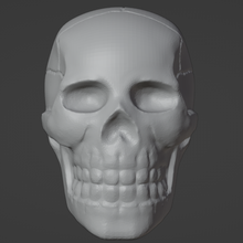 humano cráneo 3d print model - Mito3D