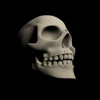 humano crânio mandíbula miniatura educativo escola Ciência natureza osso Sergio Inglês 3d print model - Mito3D