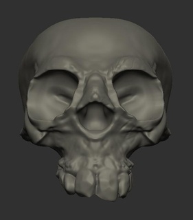 human skull 3d print model - Mito3D