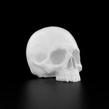 human skull various 3d print anatomy decorative education 3dprinting 3dmodel printed 3dmodeling 3dart 3d print model - Mito3D