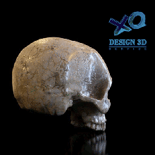 humano crânio arte 3d print model - Mito3D