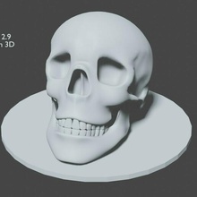 human skull body anatomy paperweight 3d print model - Mito3D
