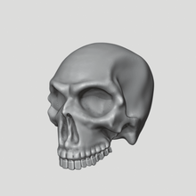 crâne humain - imprimable outil de os l'homme le dessus table jeu warhammer L'impression 3d 3d print model - Mito3D