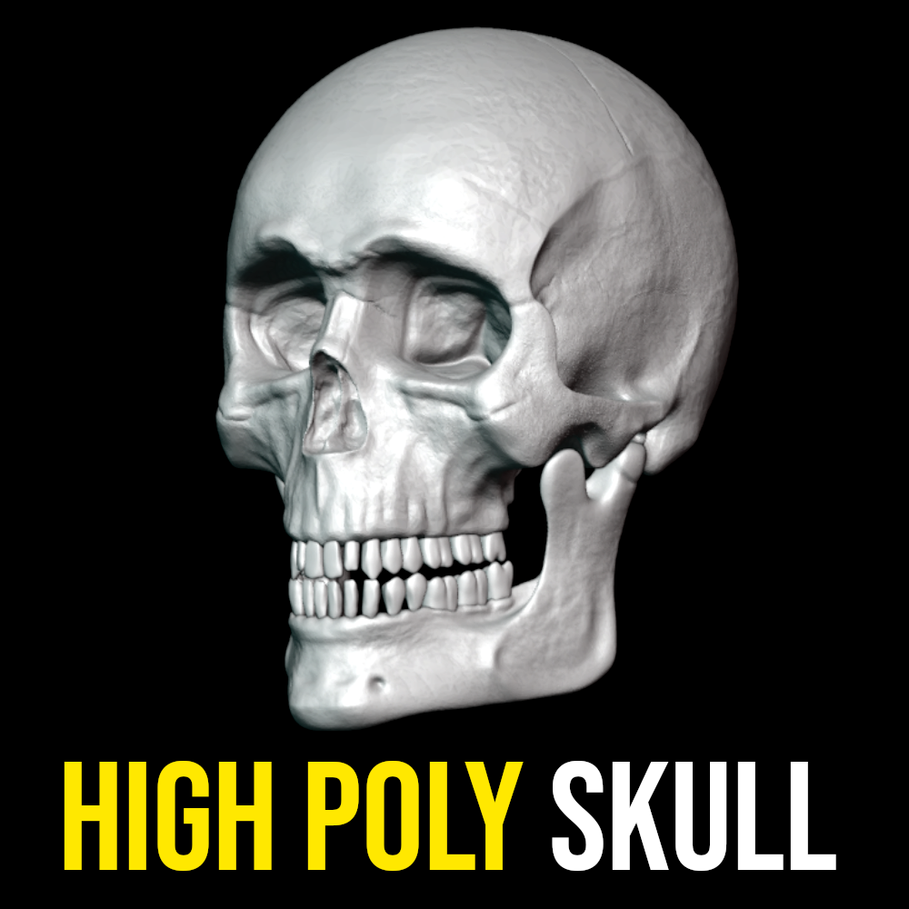 human skull 3d printing head skeleton anatomy bones carnium medical creepy scary undead 3D print model - Mito3D