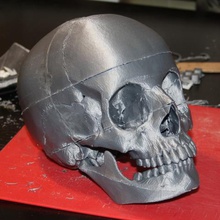 human skull anatomically correct smaller printers various 3d print model - Mito3D