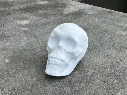 human skull decoration Various bone os crane outside party 3d print model - Mito3D
