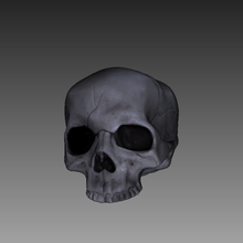 umano cranio mascella Halloween ossatura 3d print model - Mito3D