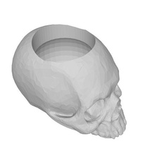 umano cranio pianta pentola giardinaggio casa giardino piantagione 3d print model - Mito3D