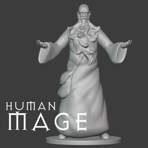 human wizard role game mage dungeons and dragons dyd 3D print model - Mito3D