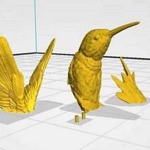 colibrí pájaro aves animal 3d print model - Mito3D