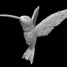 sinek kuşu kolye süs Sanat ave çiçek toplayıcı kuş 3d print model - Mito3D