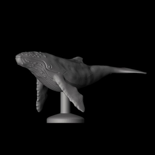 kambur balina Sanat süs Görüntüle hayvan okyanus deniz 3D print model - Mito3D