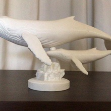 humpback whales whale animal toys sea 3d print model - Mito3D