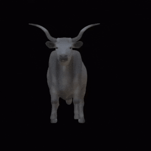 hungarian grey kettle Art cow animals farm bull szurkemarha szürkemarha 3D print model - Mito3D