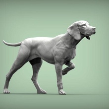 húngaro vizsla apontando cão 3d impressão modelo 3d print model - Mito3D