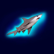 aç köpekbalığı sanat deniz esun3d oyuncak hayvan 3d print model - Mito3D