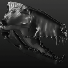 hyaenodon skull art 3d print model fossile bone animal mammal 3d print model - Mito3D