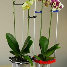 hidro envasado orquídea Panela flor hidroponia ar raiz plantar cachepot água hidropônico aéreo planos plantador 3d print model - Mito3D