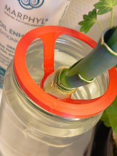 hydroponic growth support leeks plants legumes 3d print model - Mito3D
