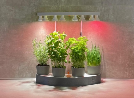 hydroponic planter grower - greengrowbox nicole v2 coconut-fibre plant-grower 3d print model - Mito3D