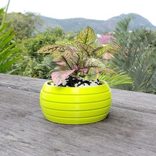 hydroponic vase home plants interior decor flower pot watering 3d print model - Mito3D