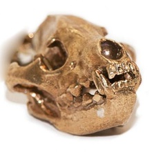 hyena skull pendant loop jewelry 3d print model - Mito3D