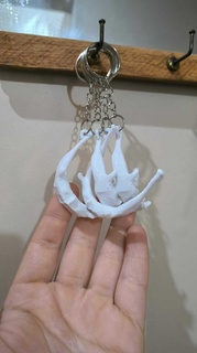 Zungenbein Knochen Schlüsselbund Medizin Anatomie medizinisch Larynx 3d print model - Mito3D