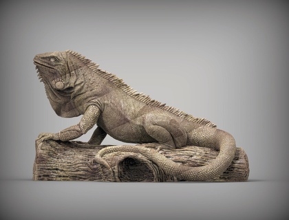 Leguan 3d drucken Modell Eidechse Reptil kalt blutig Tier Haustier Amphibie Natur Kreatur Skulptur Geschenk Kunst Skulpturen Statue gedruckt 3d print model - Mito3D
