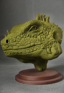 iguana testa fallimento animale orso Leone lupo cane 3d print model - Mito3D