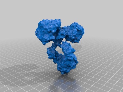 immunoglobulin antibody immune pdb protein biology 3d print model - Mito3D