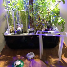 indoor vegetable garden accessories home 3d print model - Mito3D
