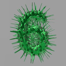 6 enfekte numarası çeşitli virüs 3d print model - Mito3D