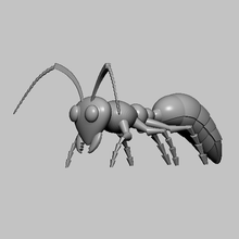 insecto hormiga stl obj 3d print model - Mito3D