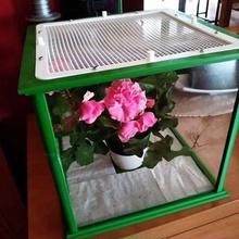 Insekten-terrarium home Haustiere 3d print model - Mito3D