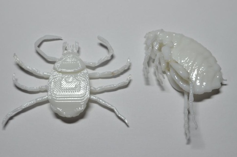 insects remix flea circus play-set +dog tick 3d printing 3d print model - Mito3D