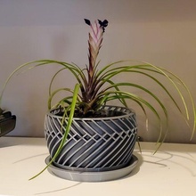 entrelacé torsion intérieur bureau succulent planteur jardinières pot plante 3d 3d print model - Mito3D
