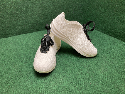 íon sapatos corrida cheio Voronoi sapato moda homem mulher Esportes esporte jogos caminhar 3d print model - Mito3D