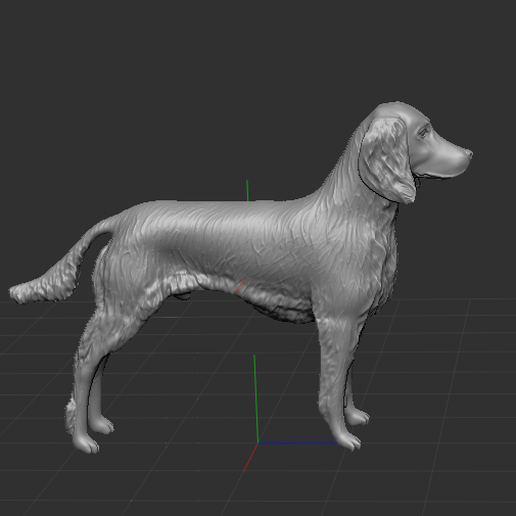 irlandais setter animal chien compagnie 3D print model - Mito3D