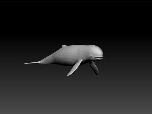 irrawaddy golfinho fofa on escrivaninha teste modelo surpreendente animal real beleza lindo brilhante realeza 3d print model - Mito3D