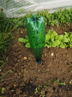 irrigación jardín perrier 1l botella goteo aire libre 3d print model - Mito3D