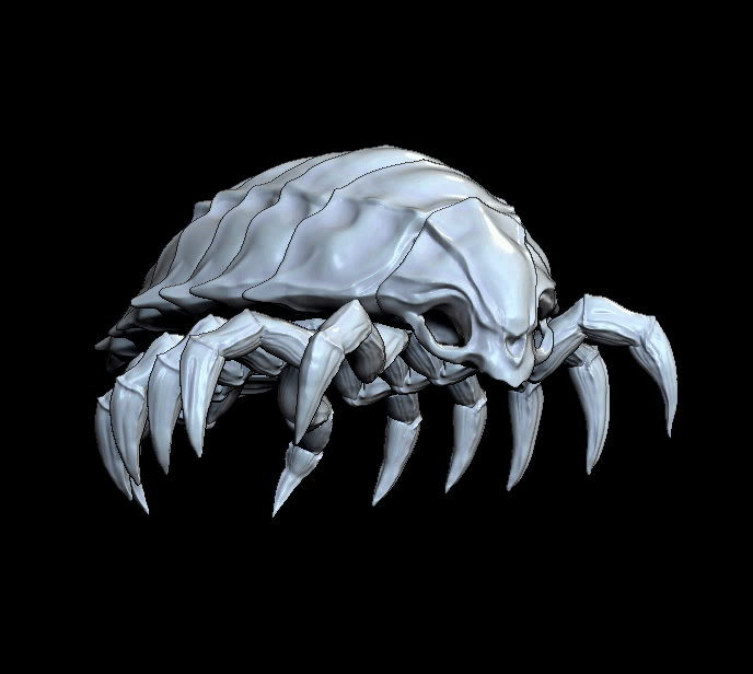 isópodo Arte esqueleto cráneo hueso isópodos insecto 3D print model - Mito3D