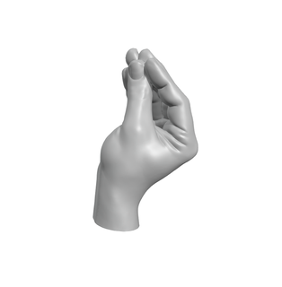 Italienisch Hand Anima Hände Anatomie Bildhauerei Skulptur Scan zbrush Person Modell model3d Italien 3d print model - Mito3D