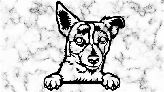 Jack Russell terrier hogar casa perro pared 3d print model - Mito3D