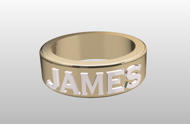 james ring jewelry man obj file gents free 3d print model - Mito3D