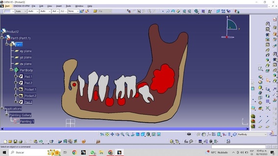 jaw Various tooth jaw dentistry teeth mouth teeth  3d print model - Mito3D